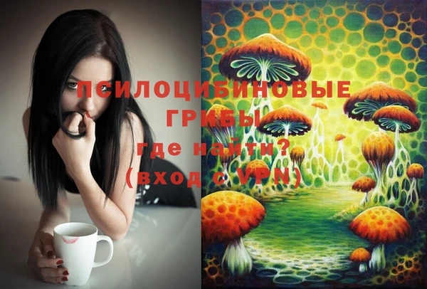 ГАЛЛЮЦИНОГЕННЫЕ ГРИБЫ Алексеевка