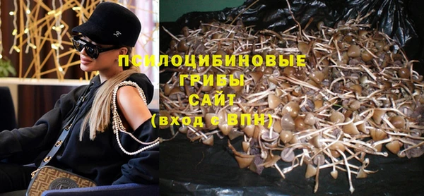 ГАЛЛЮЦИНОГЕННЫЕ ГРИБЫ Алексин