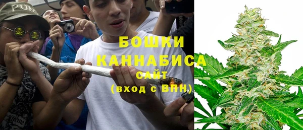 ГАЛЛЮЦИНОГЕННЫЕ ГРИБЫ Алексеевка