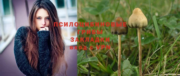 ГАЛЛЮЦИНОГЕННЫЕ ГРИБЫ Алексин